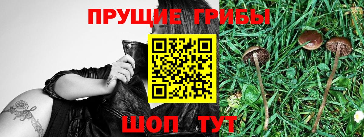 Галлюциногенные грибы MAGIC MUSHROOMS  Вход с VPN  Узловая 