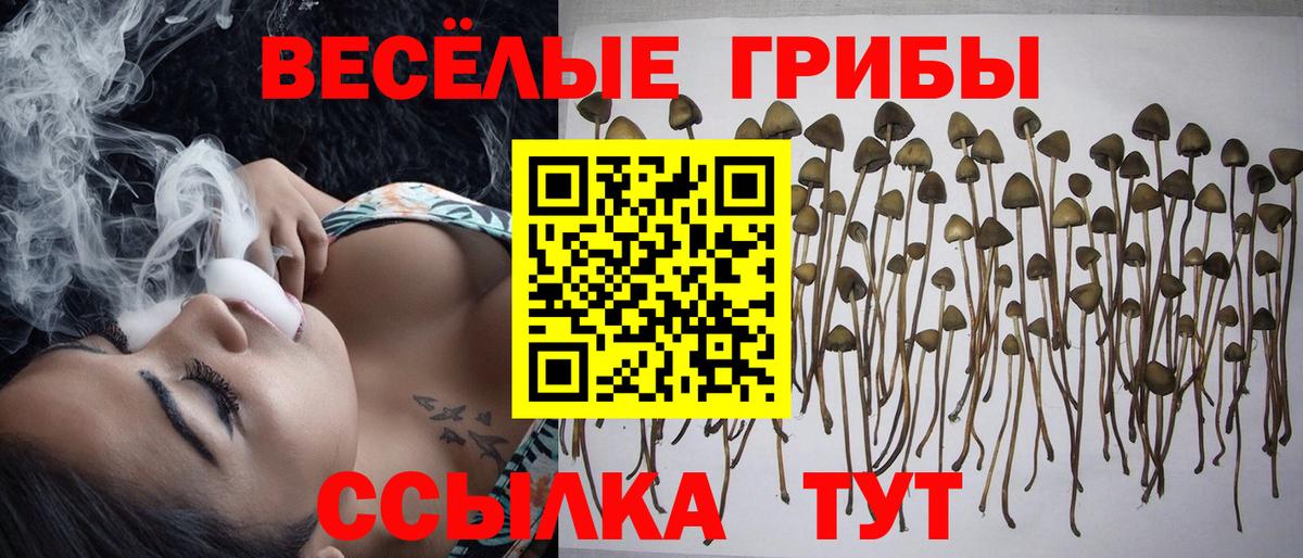 Галлюциногенные грибы ЛСД Узловая